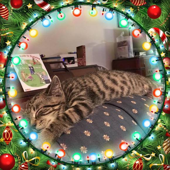 Meet your Posher, Steve-donna - Picture 1 of 1